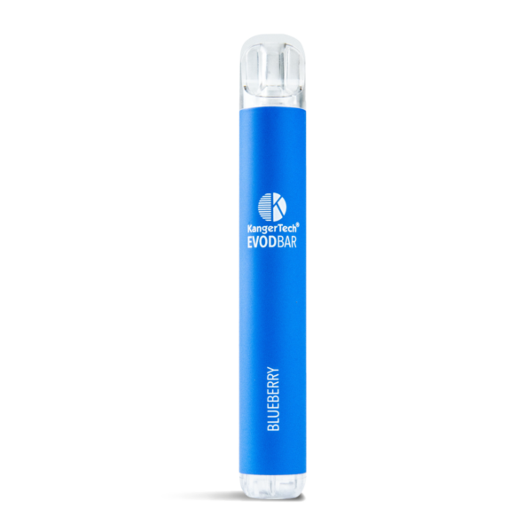 Blueberry EVOD Bar Disposable Vape D600 with FOAM-TEC