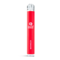 Watermelon EVOD Bar Disposable Vape D600 with FOAM-TEC